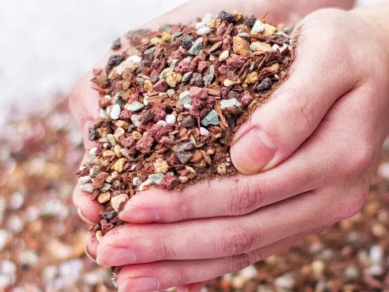 How to Choose Soil for Succulents at Different Growth Stages